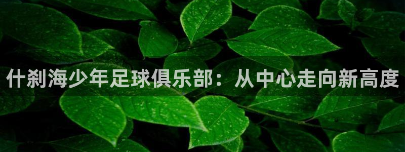 欧亿体育官方正版app集团简介:什刹海少年足球俱乐部:从中心