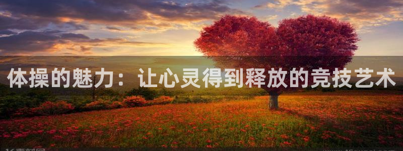 oety欧亿体育官网下载平台注册流程图:体操的魅力:让心灵得