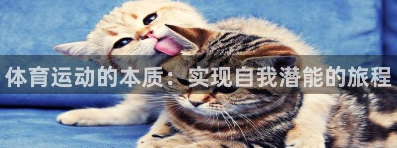 oety欧亿体育官网下载平台是正规平台吗知乎:体育运动的本质